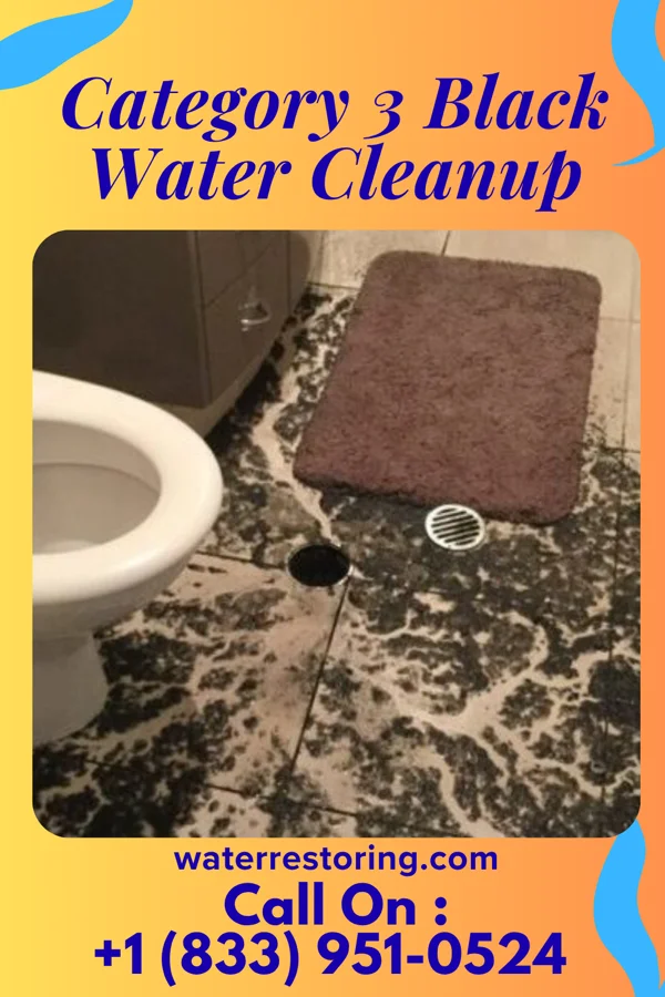 Category 3 Black Water Cleanup in Pocahontas, MO
